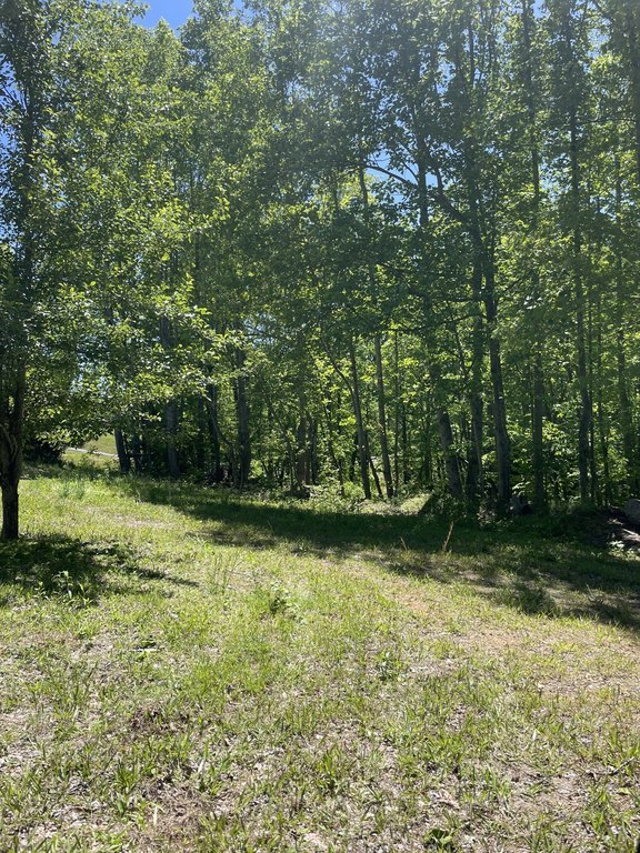 Listing Highway 52 W, Lafayette TN 37083